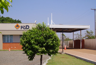 PGD-(91).jpg